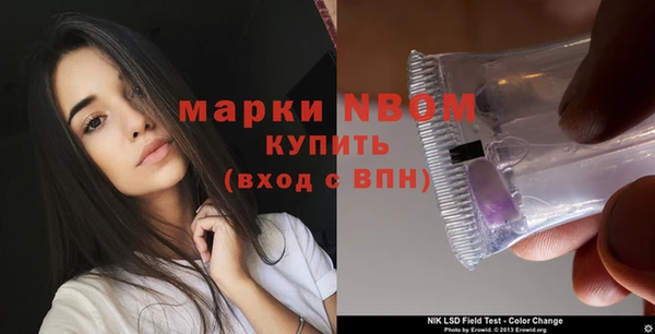 молекула духа Арсеньев