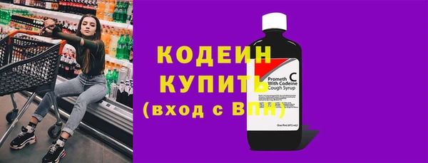 молекула духа Арсеньев