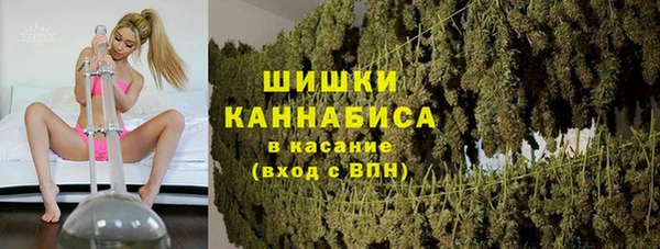 молекула духа Арсеньев