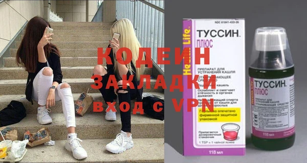 молекула духа Арсеньев