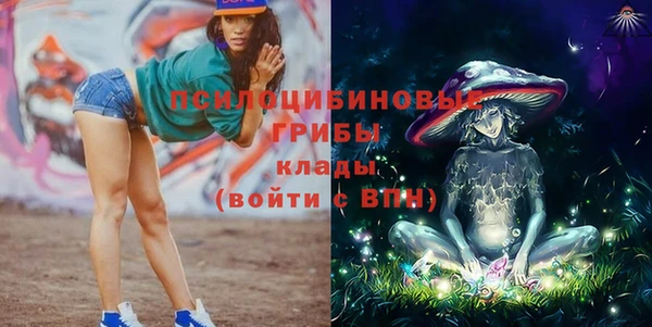 каннабис Аркадак
