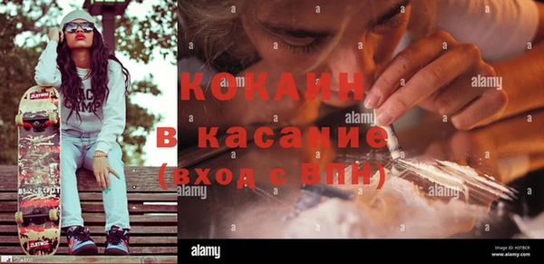 молекула духа Арсеньев